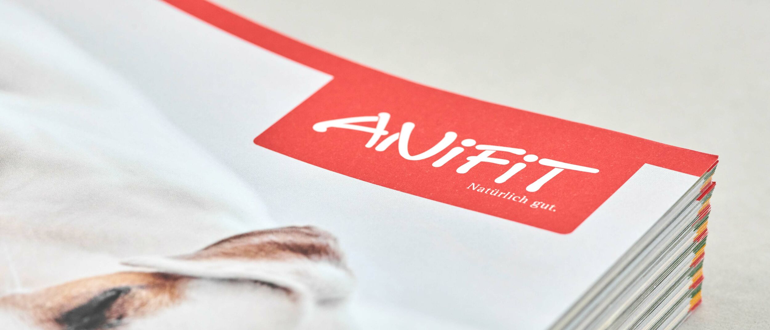 AniFit - Broschüre